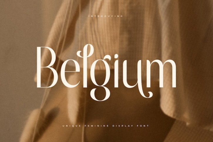 Belgium - Unique Feminine Display Font Font Download