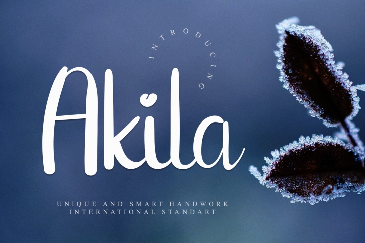 Akila Font Download