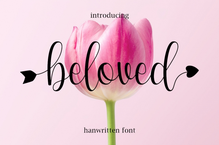 Beloved Font Download