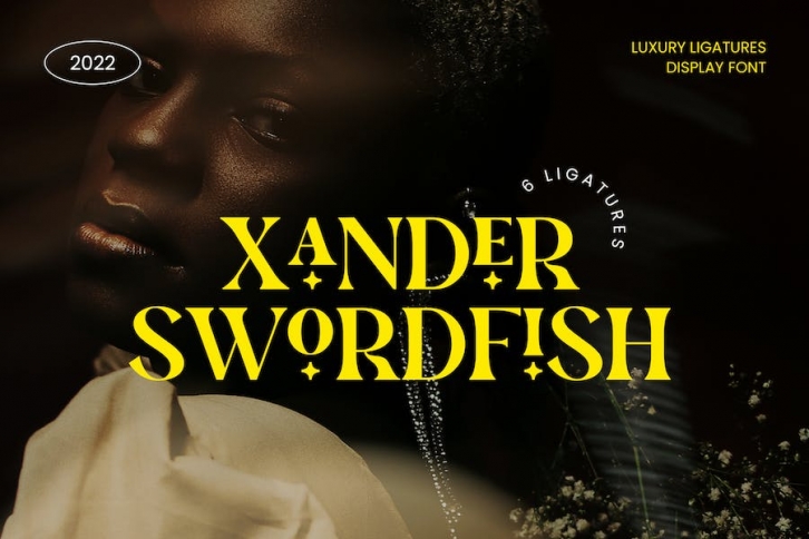 Xander Swordfish Luxury Ligature Serif Display Font Download