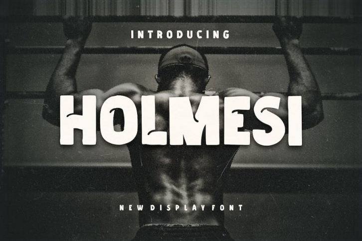 Holmesi Font Font Download