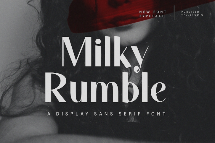 Modern Display Sans Serif Font Font Download