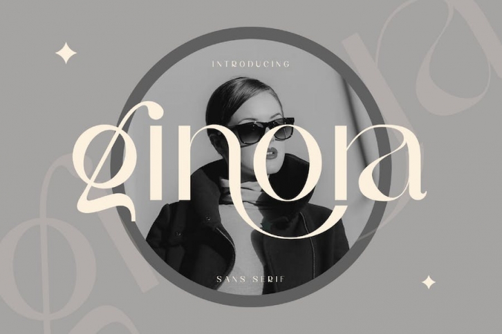 ginora sans serif Font Download