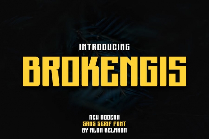 Brokengis Font Font Download