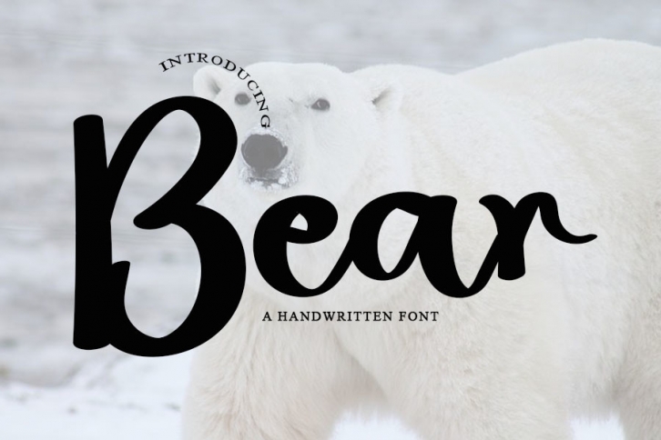 Bear Font Download