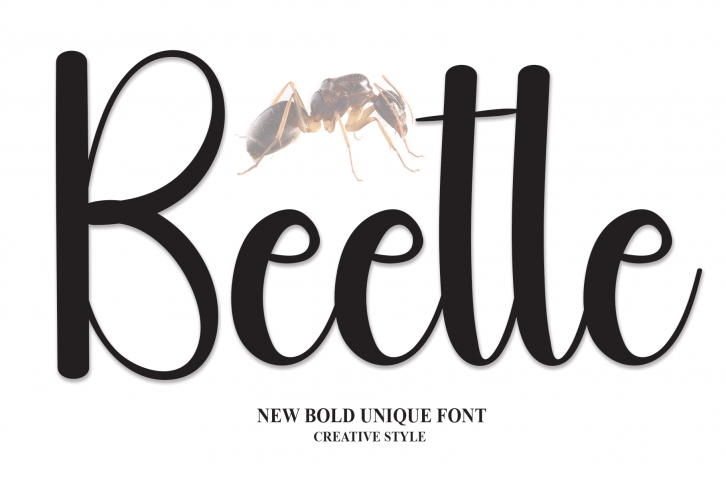 Beetle Font Download
