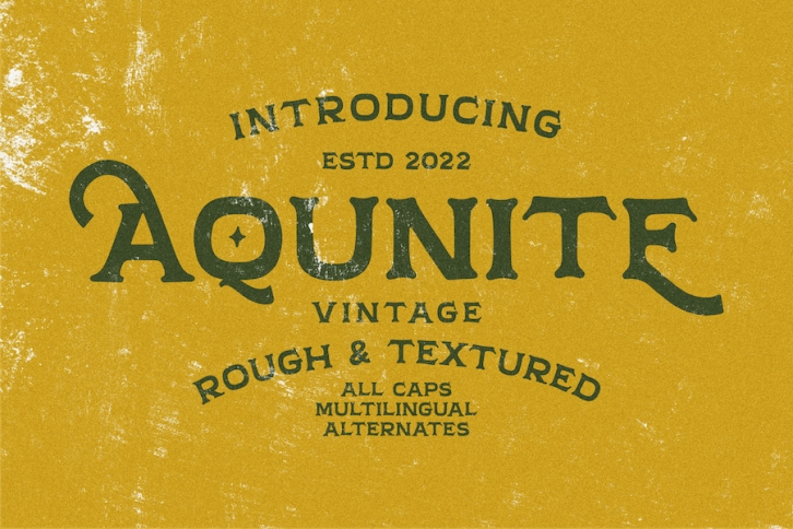 Aqunite Vintage Typeface Font Download