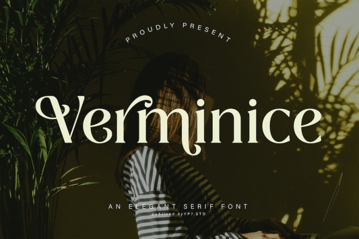 Elegant Serif Font Font Download