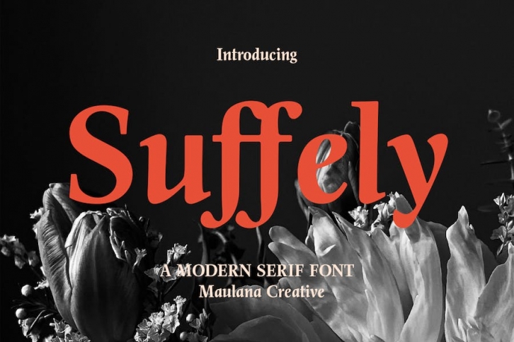 Suffely Classic Serif Font Font Download