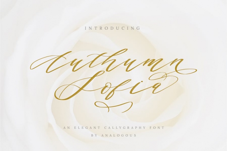 Authumn Sofia | Calligraphy Font Font Download