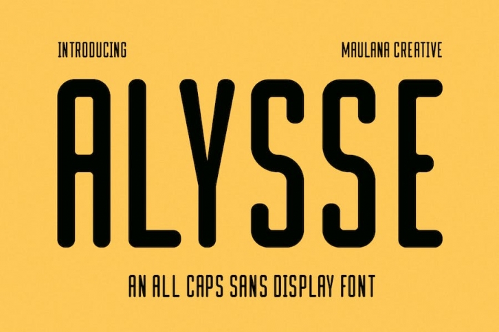 Alysse Sans Display Font Font Download