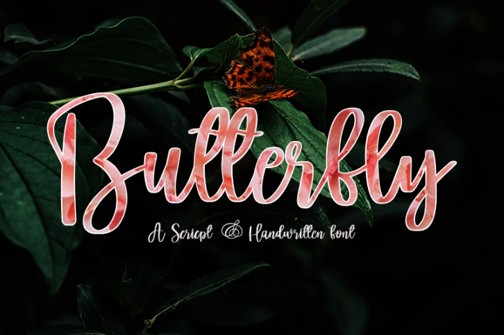 Butterfly Font Download