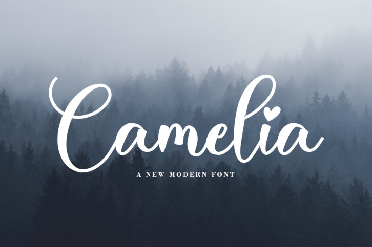 Camelia Font Download