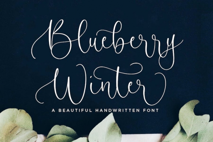 Blueberry Winter Script Font Font Download