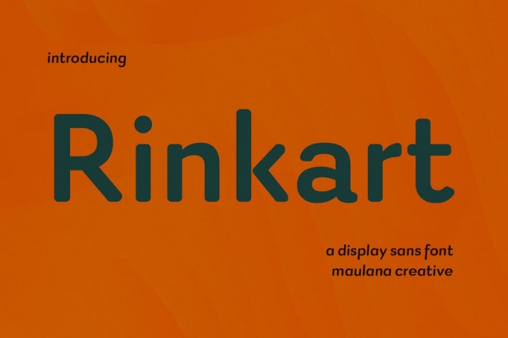 Rinkart Sans Display Font Font Download