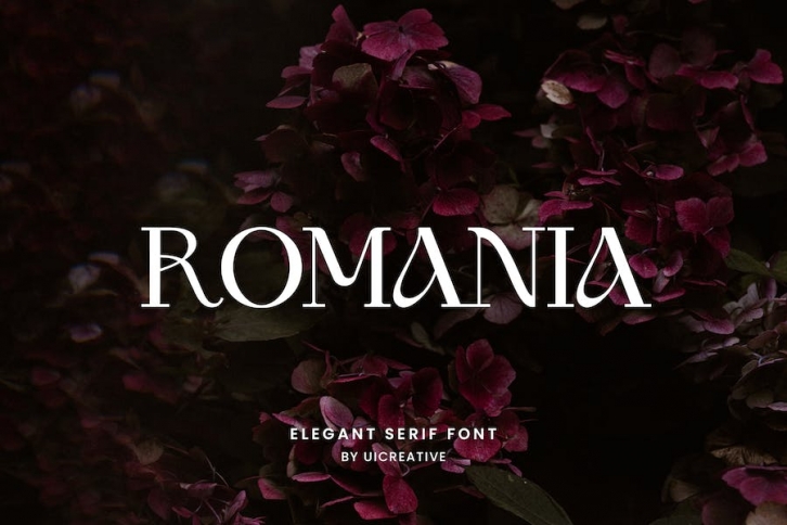 Romania Elegant Serif Font Font Download
