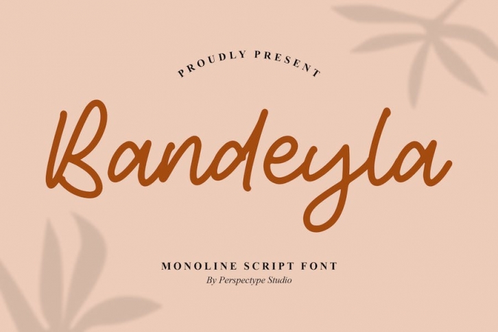 Bandeyla Monoline Script Font Font Download