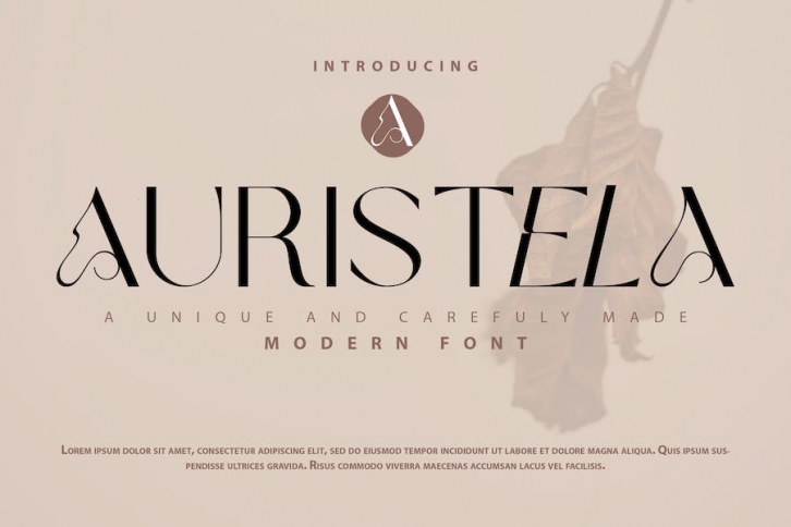 Auristeela Modern Font Font Download