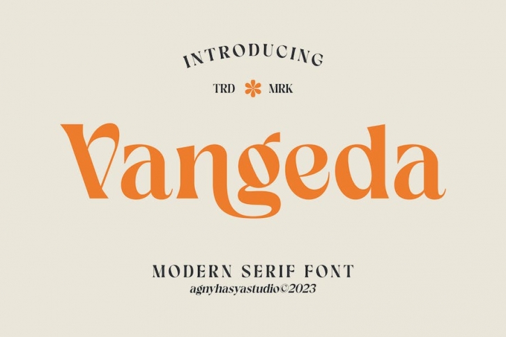 Vangeda - Modern Serif Font Font Download