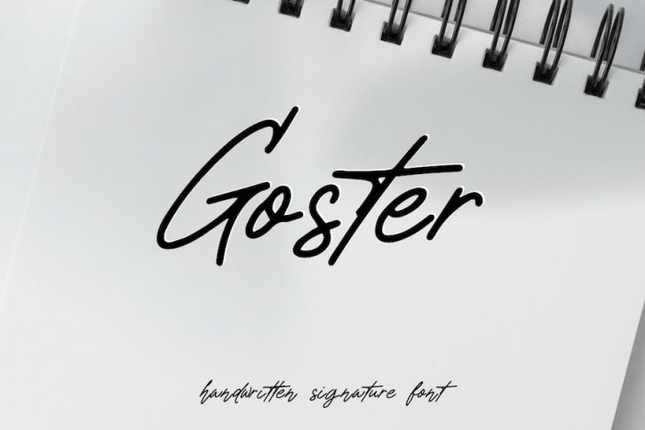 Goster - Signature Handwritten Font Font Download