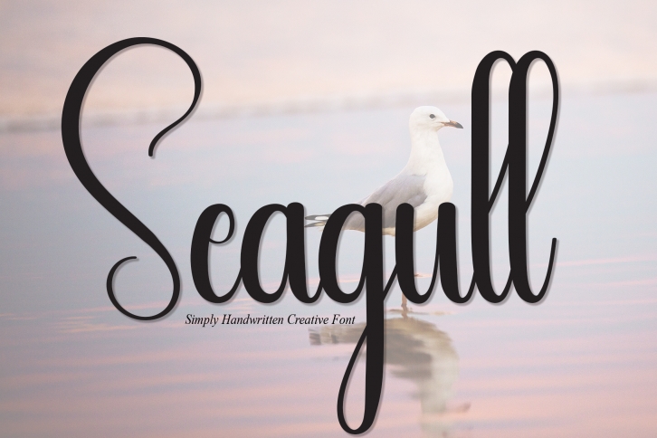Seagull Font Download