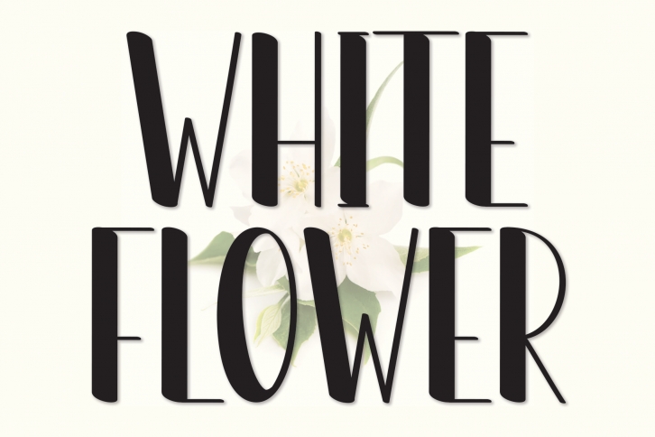 White Flower Font Download
