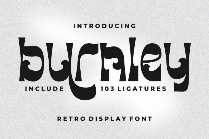 Burnley - Retro Display Font Font Download