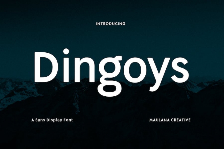 Dingoys Sans Font Font Download