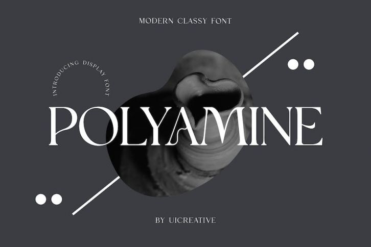Polyamine Modern Classy Serif Font Font Download
