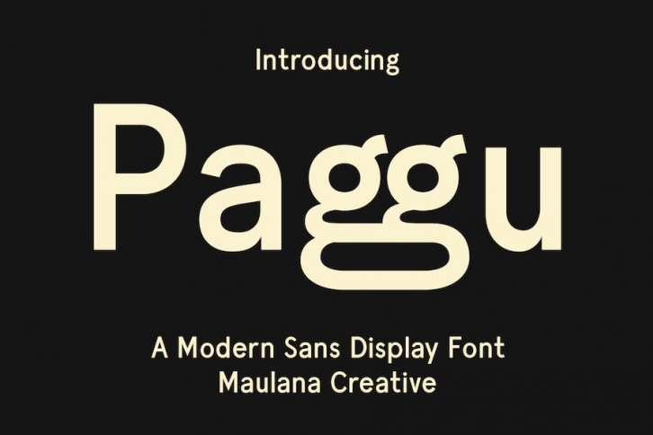 Paggu Sans Display Font Font Download