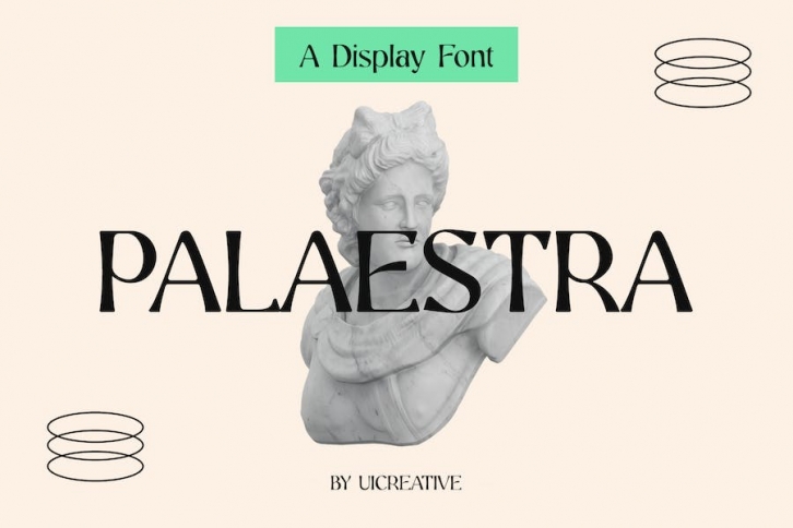 Palaestra Modern Display Serif Font Font Download
