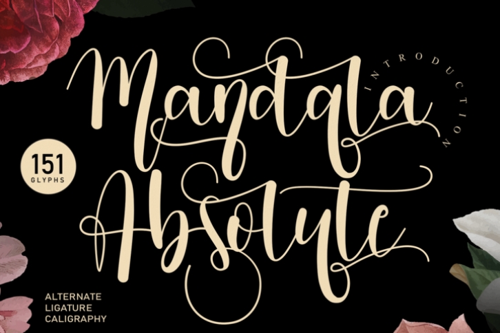 Mandala Absolute Font Download