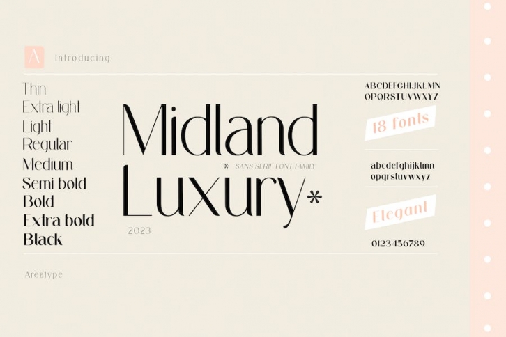 Midland Luxury Font Family Font Download