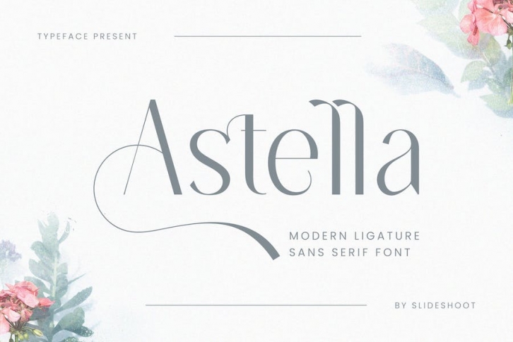 Astella Sans Serif Font Font Download