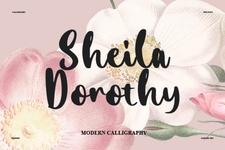 Sheila Dorothy Font Download