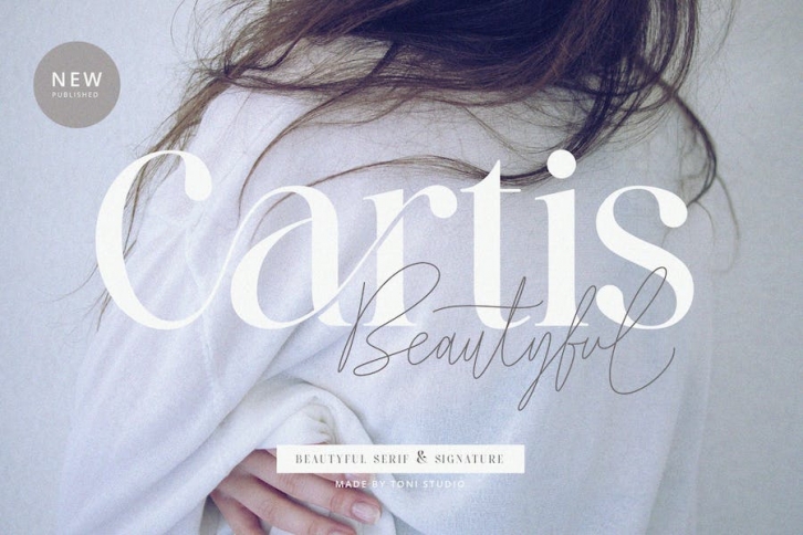 Cartis Beautyful Font Duo Font Download