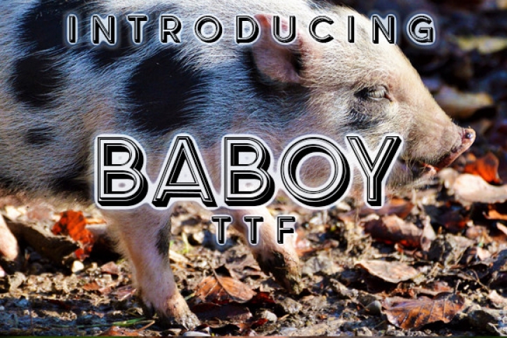 Baboy Font Download
