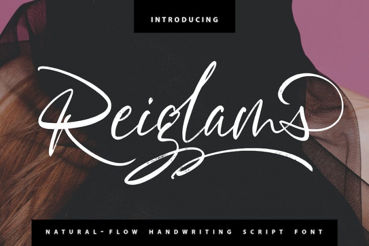 Reiglams Script Font Font Download