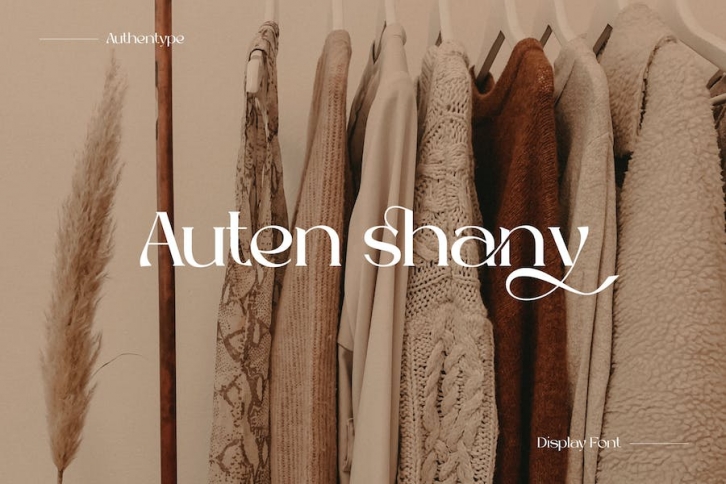 Auten Shany Serif Font Font Download