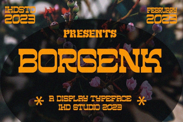 Borgenk Display Font Font Download