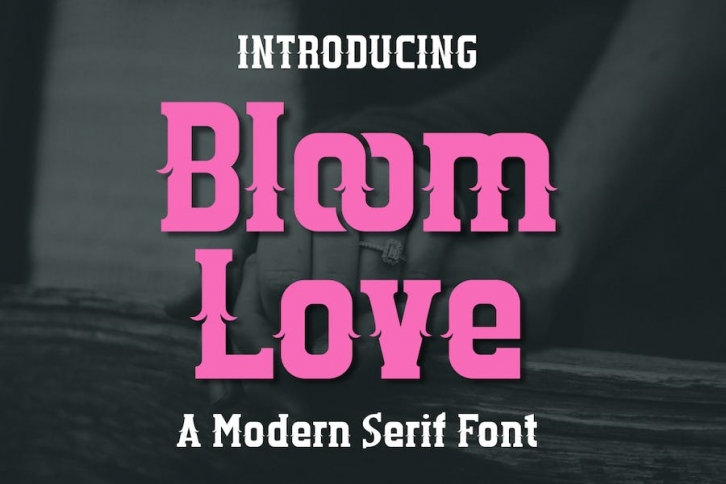Bloom Love - A Modern Serif Font Font Download