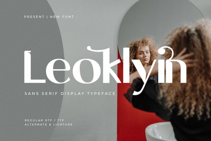 Leoklyin - Sans Serif Display Typeface Font Download