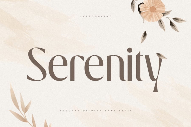 Serenity - Luxury Elegant Beauty Font Font Download