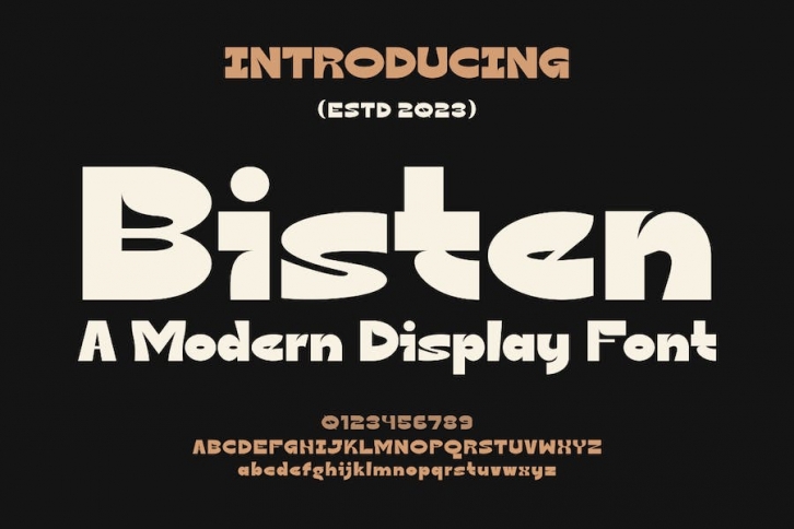Bisten - A Modern Display Font Font Download
