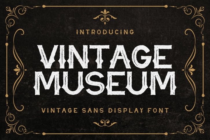 Vintage Museum Font Download