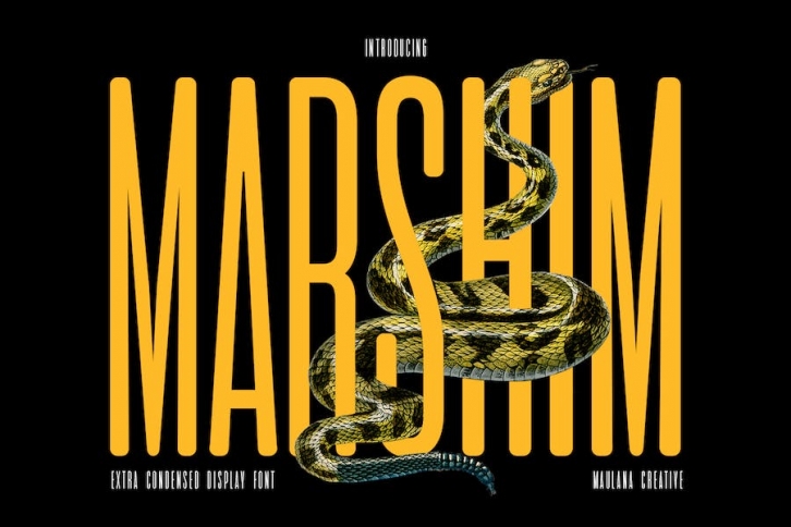 Marshim Sans Serif Display Font Font Download