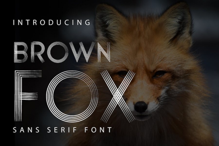 Brownfox - Sans Serif Fonts Font Download