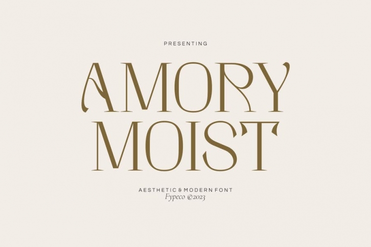 Amory Moist - Aesthetic Modern Font Font Download