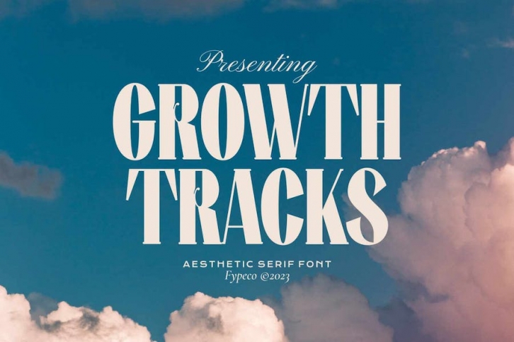 Growth Tracks - Aesthetic Serif Font Font Download