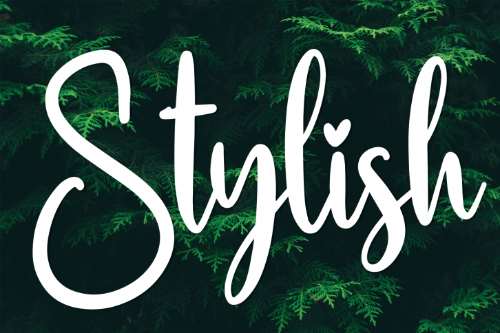 Stylish Font Download